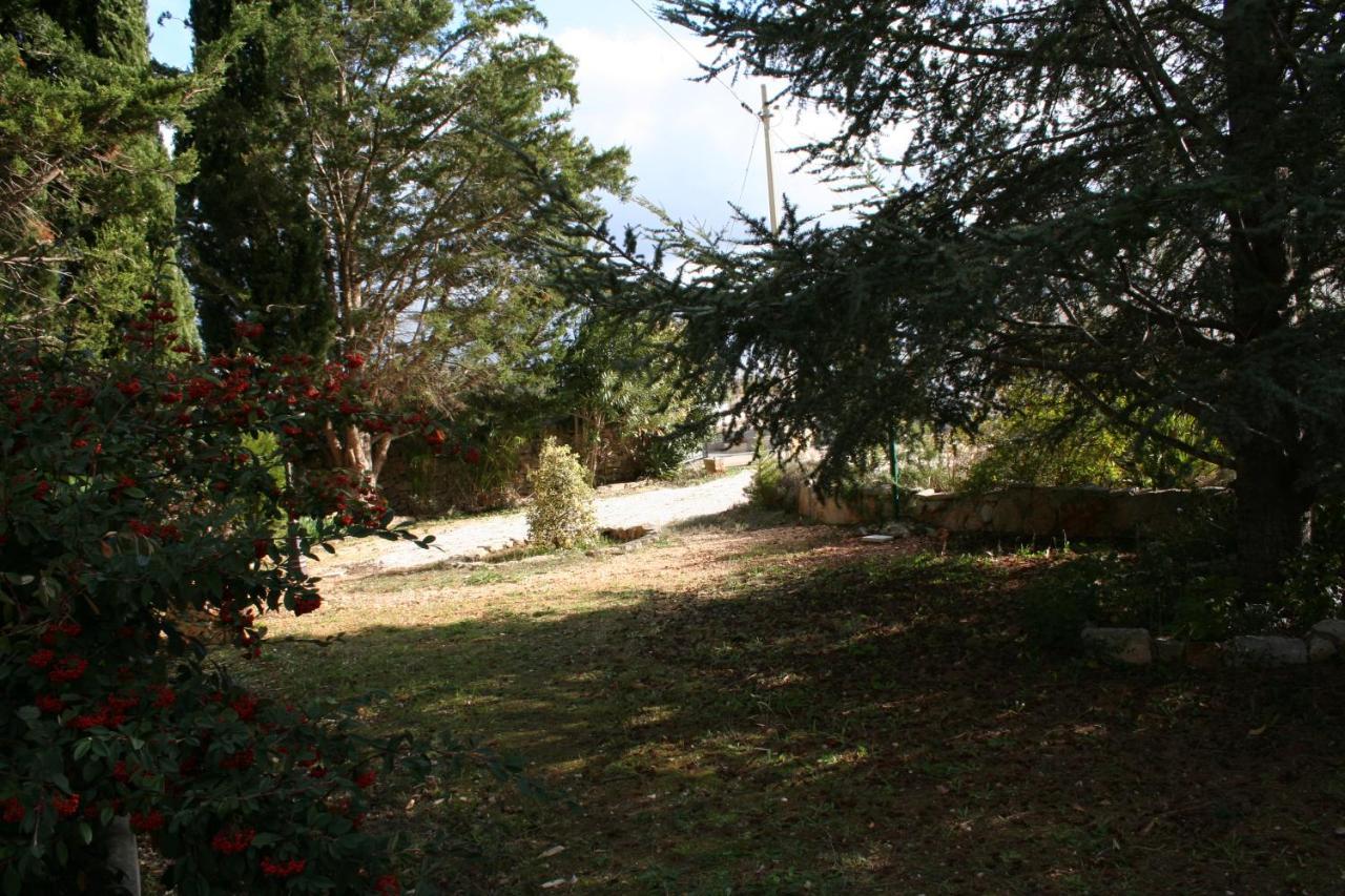 Casa Vacanza I Cedri Martina Franca Bagian luar foto